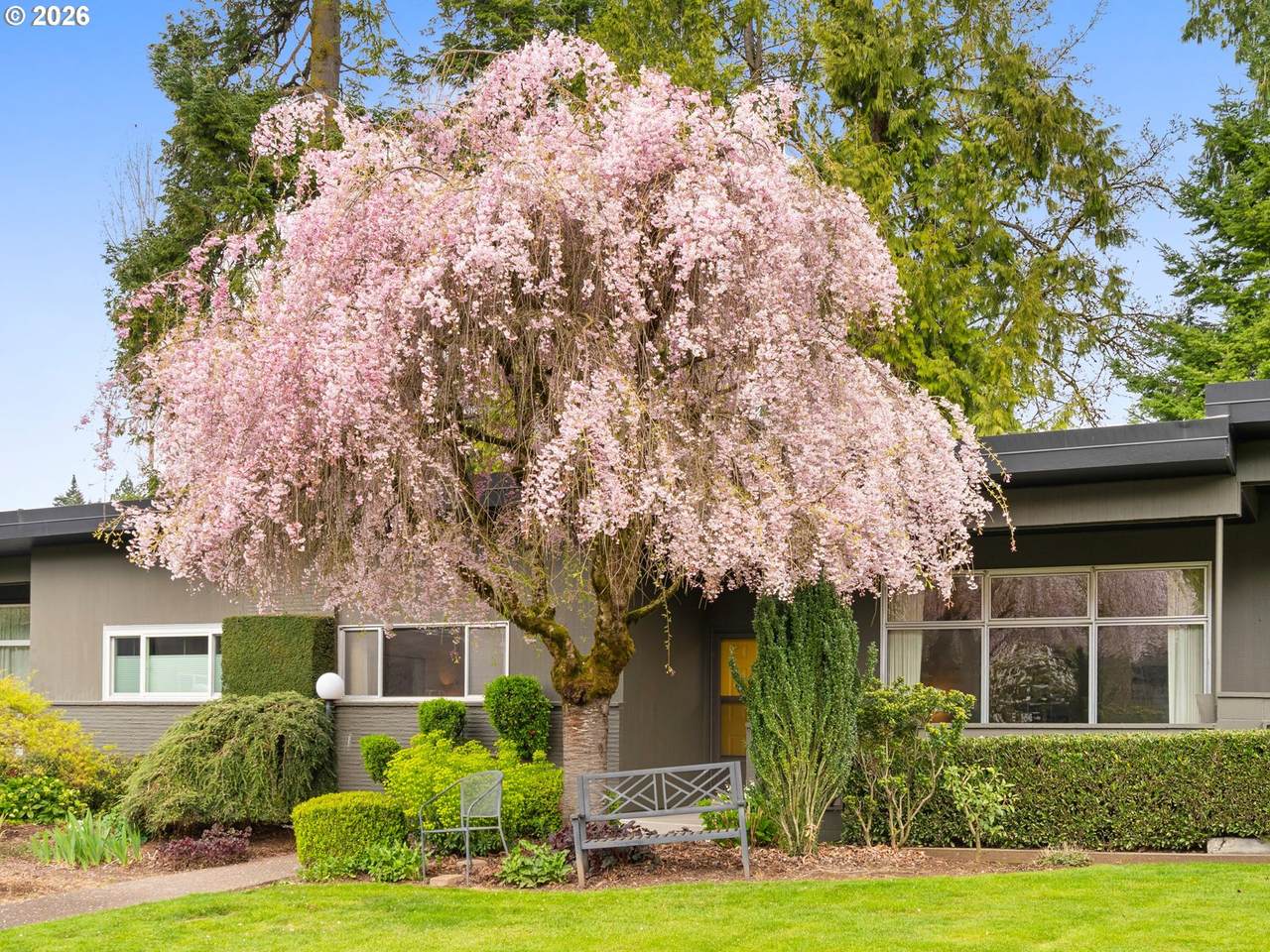 5225 Oleson Rd - Photo 1