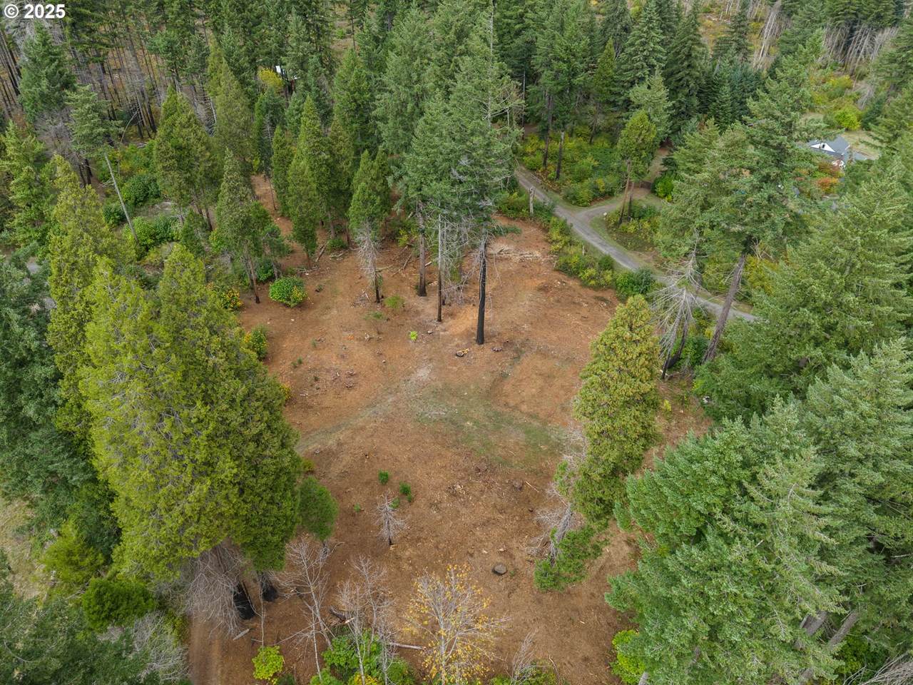 https://bt-photos.global.ssl.fastly.net/portland/1280_boomver_1_253946438-2.jpg