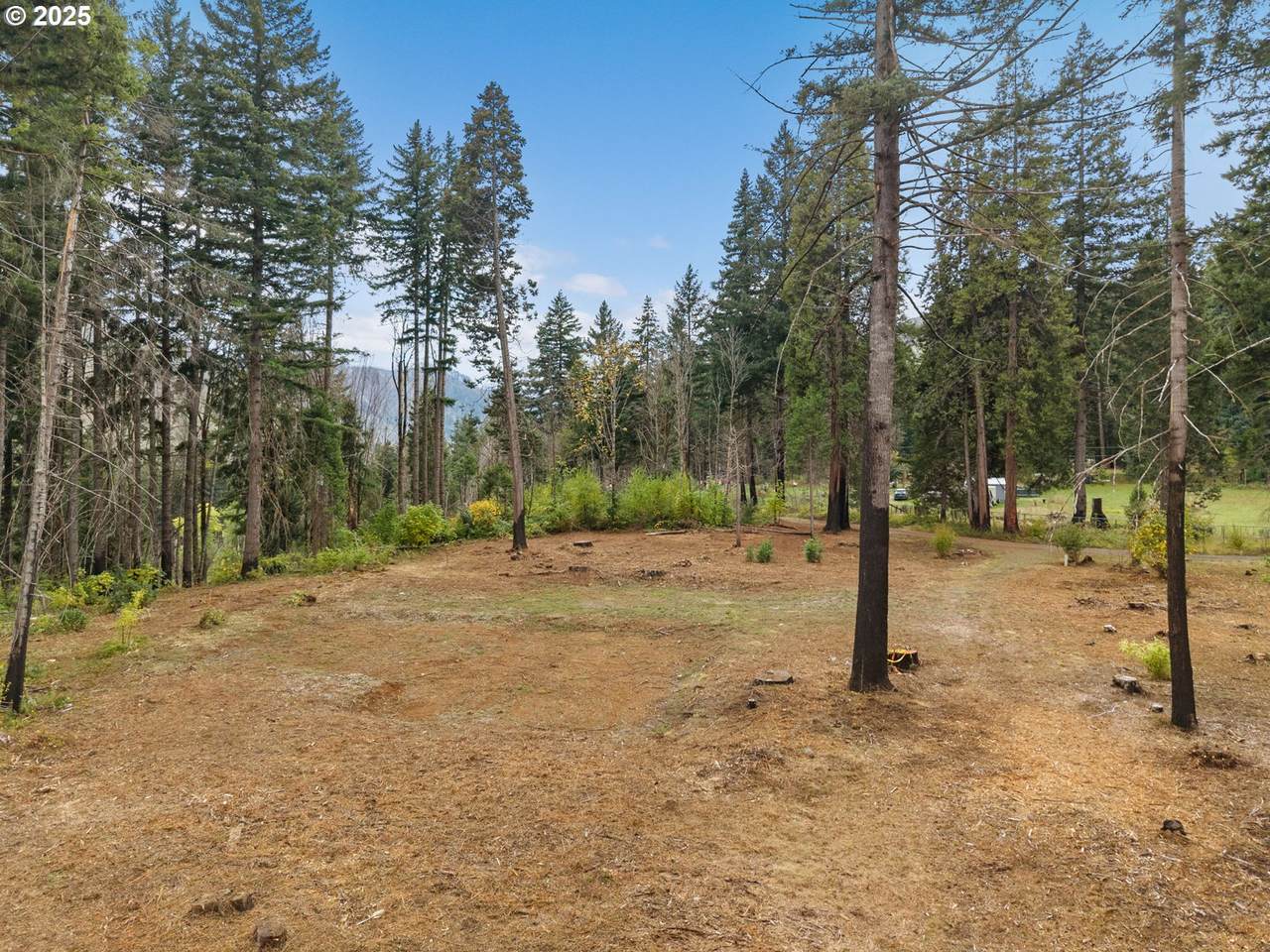 https://bt-photos.global.ssl.fastly.net/portland/1280_boomver_1_253946438-2.jpg