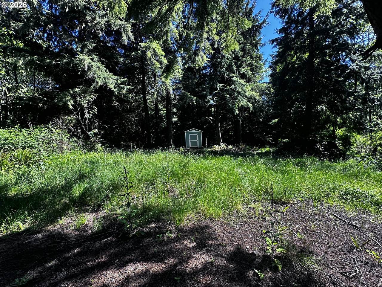 https://bt-photos.global.ssl.fastly.net/portland/orig_boomver_1_254031335-2.jpg