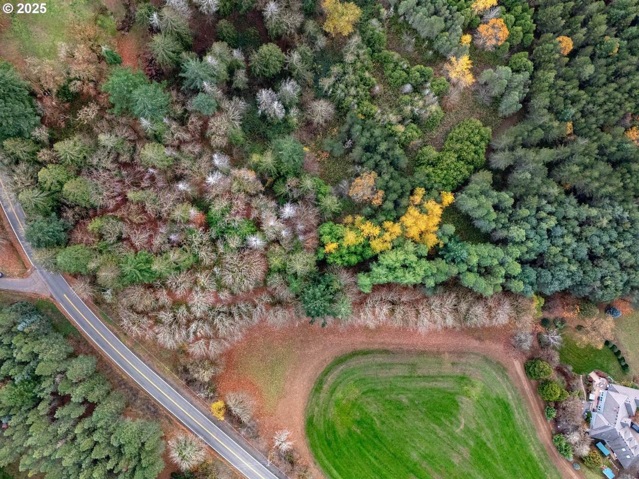 https://bt-photos.global.ssl.fastly.net/portland/1280_boomver_1_254615736-2.jpg