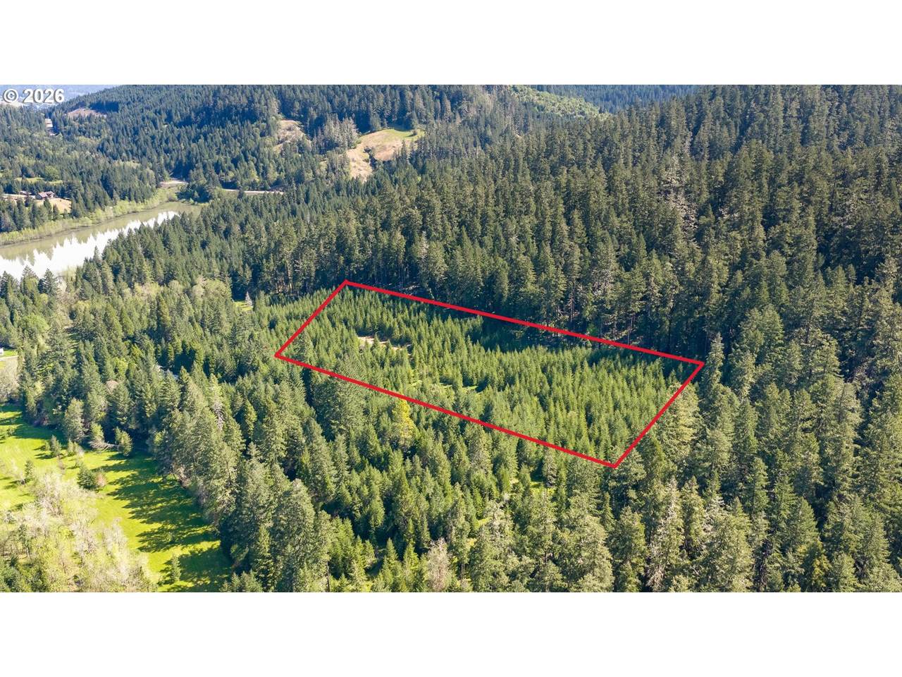  Berry Creek Rd - Photo 1