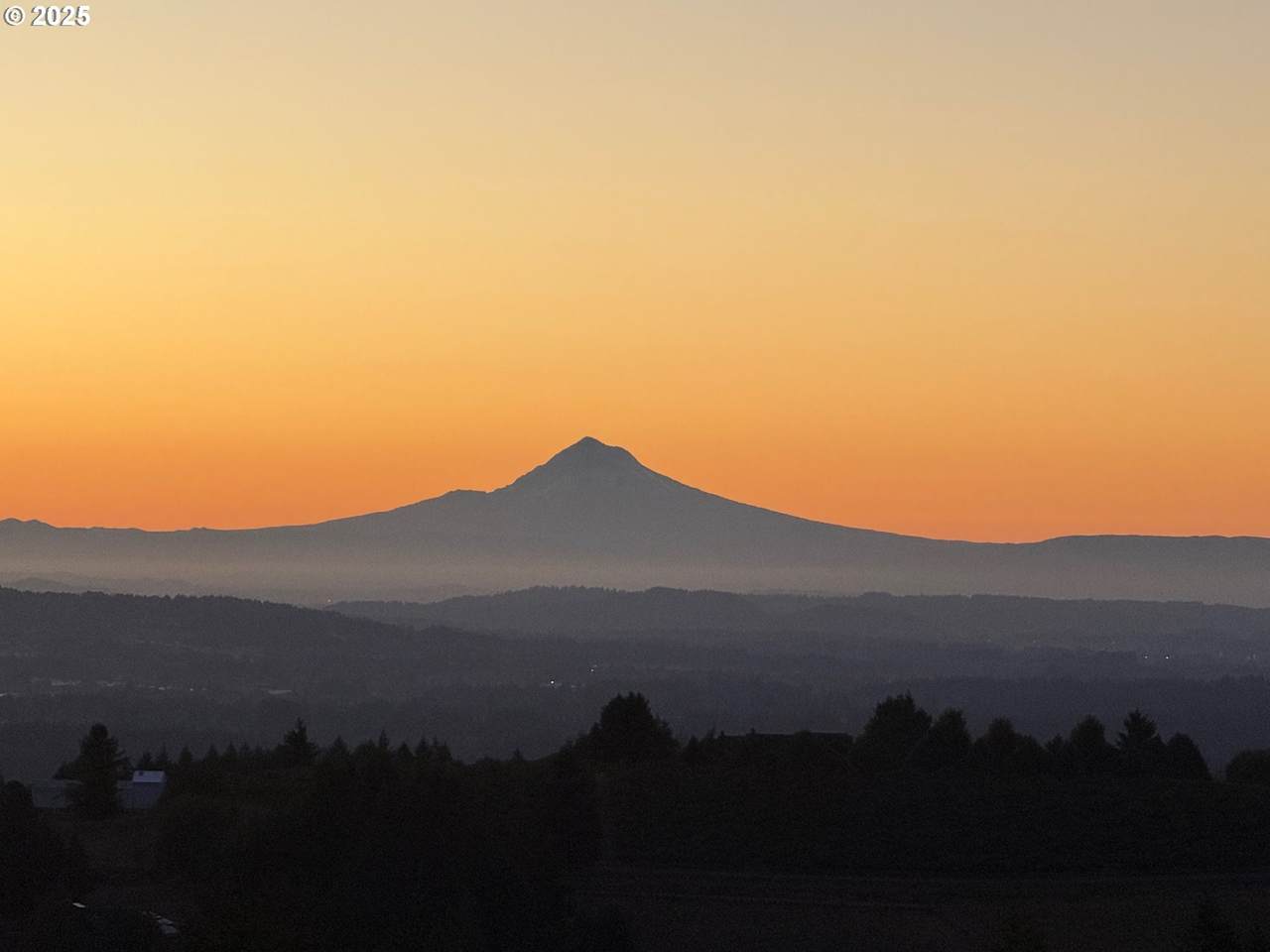 16935 Holly Hill Rd - Photo 1