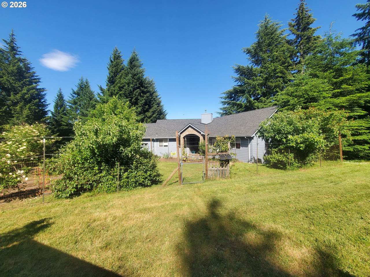 1401 Reuben Boise Rd - Photo 1