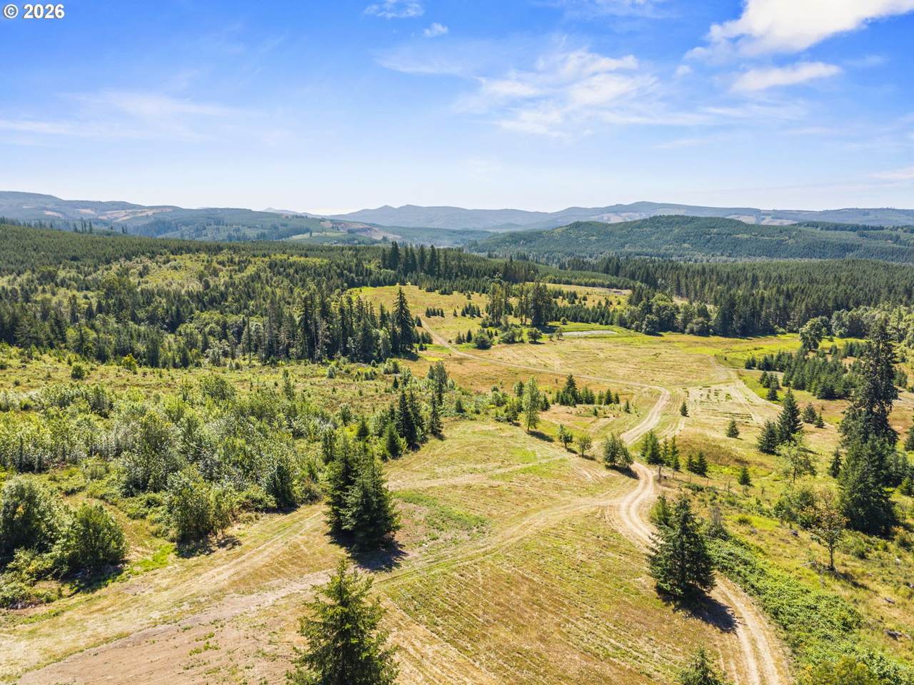 https://bt-photos.global.ssl.fastly.net/portland/1280_boomver_1_259017064-2.jpg