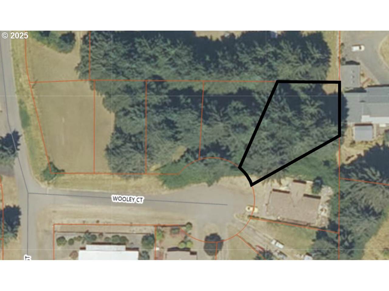 1019 Wooley Ct - Photo 1