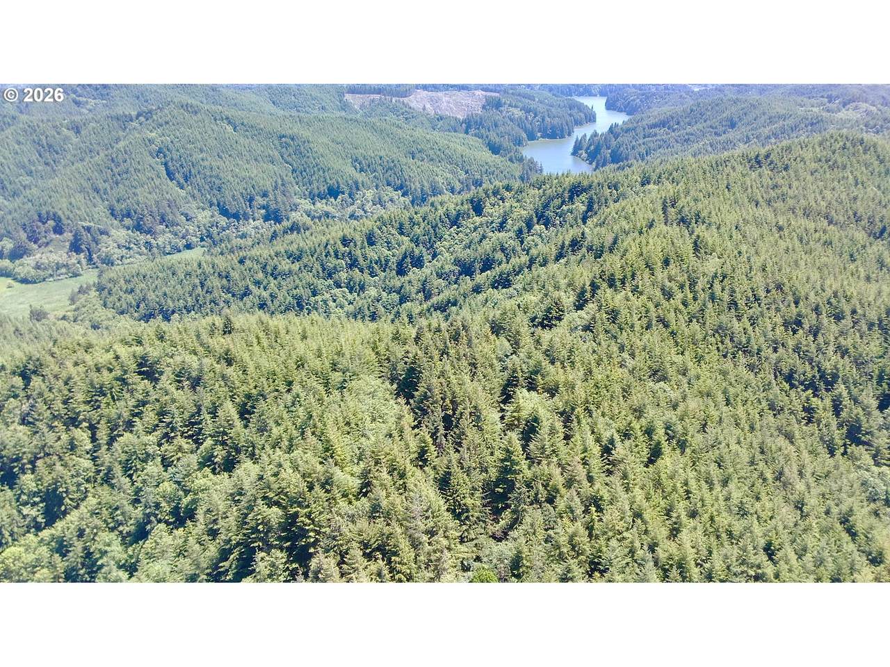  Us Highway 101 - Photo 1
