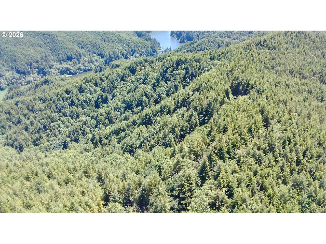 https://bt-photos.global.ssl.fastly.net/portland/1280_boomver_1_259898162-2.jpg