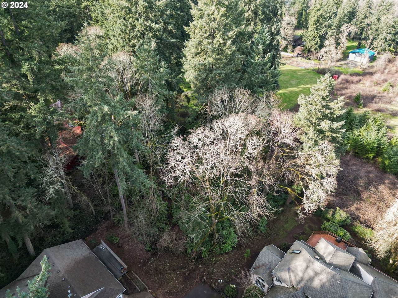 https://bt-photos.global.ssl.fastly.net/portland/1280_boomver_1_261856202-2.jpg
