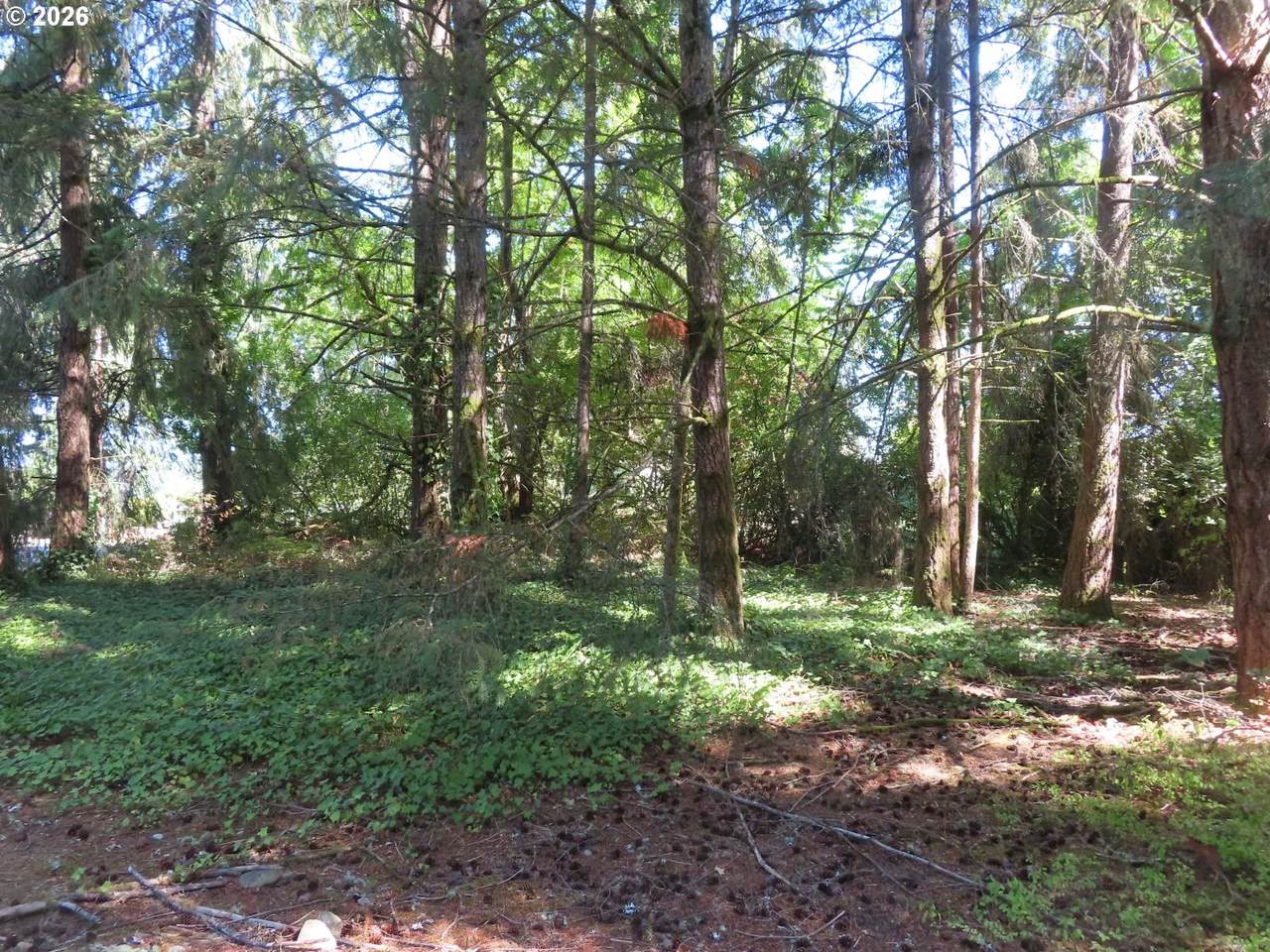 8021 Afflerbaugh Ct - Photo 1
