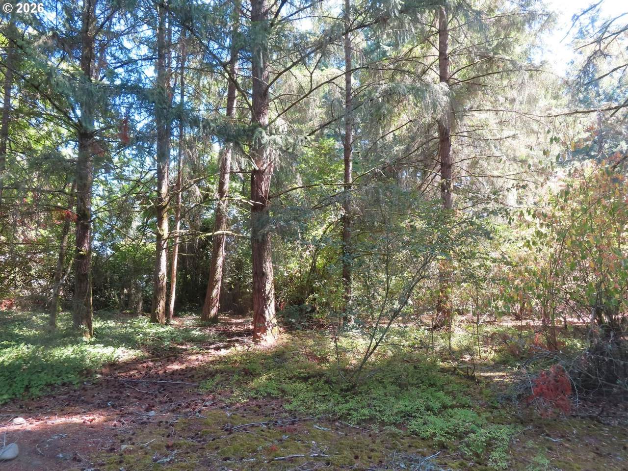 https://bt-photos.global.ssl.fastly.net/portland/1280_boomver_1_265195724-2.jpg