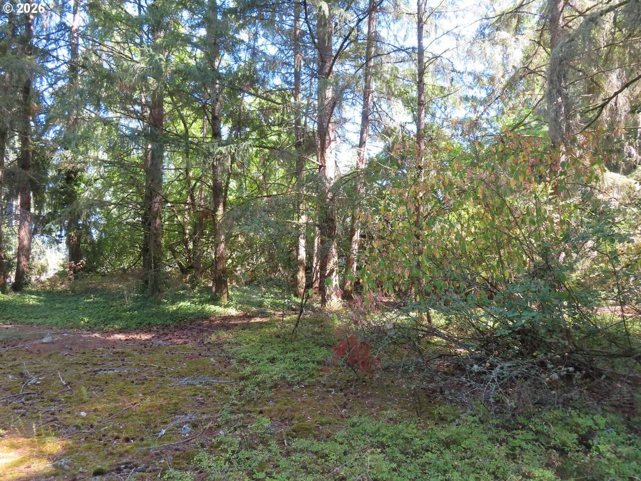 https://bt-photos.global.ssl.fastly.net/portland/1280_boomver_1_265195724-2.jpg