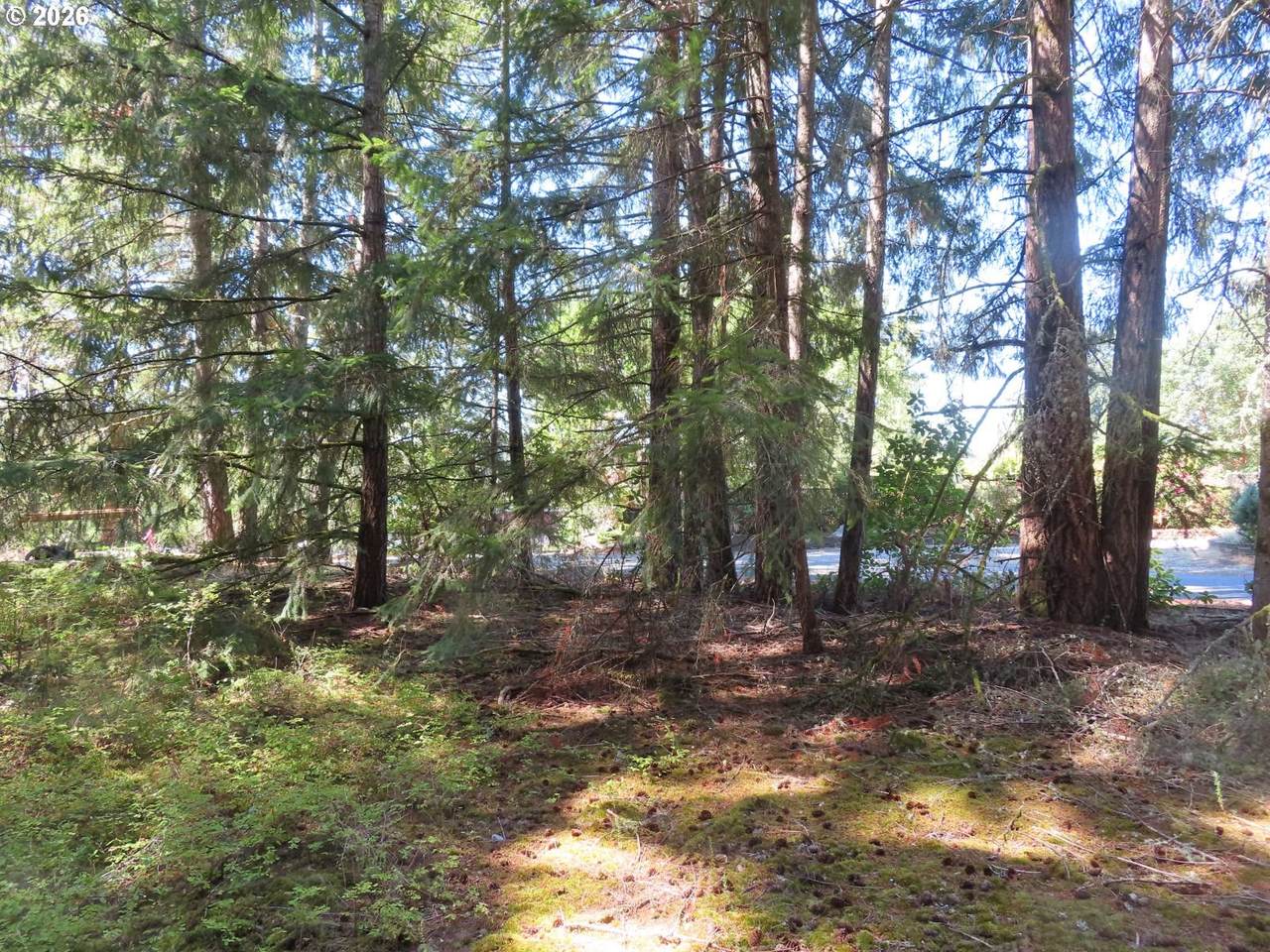 https://bt-photos.global.ssl.fastly.net/portland/1280_boomver_1_265195724-2.jpg