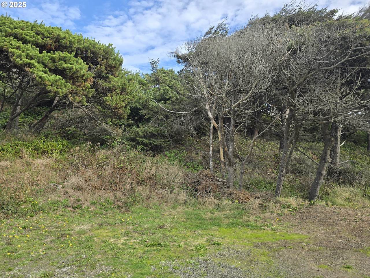 0 Lookout St - Photo 1