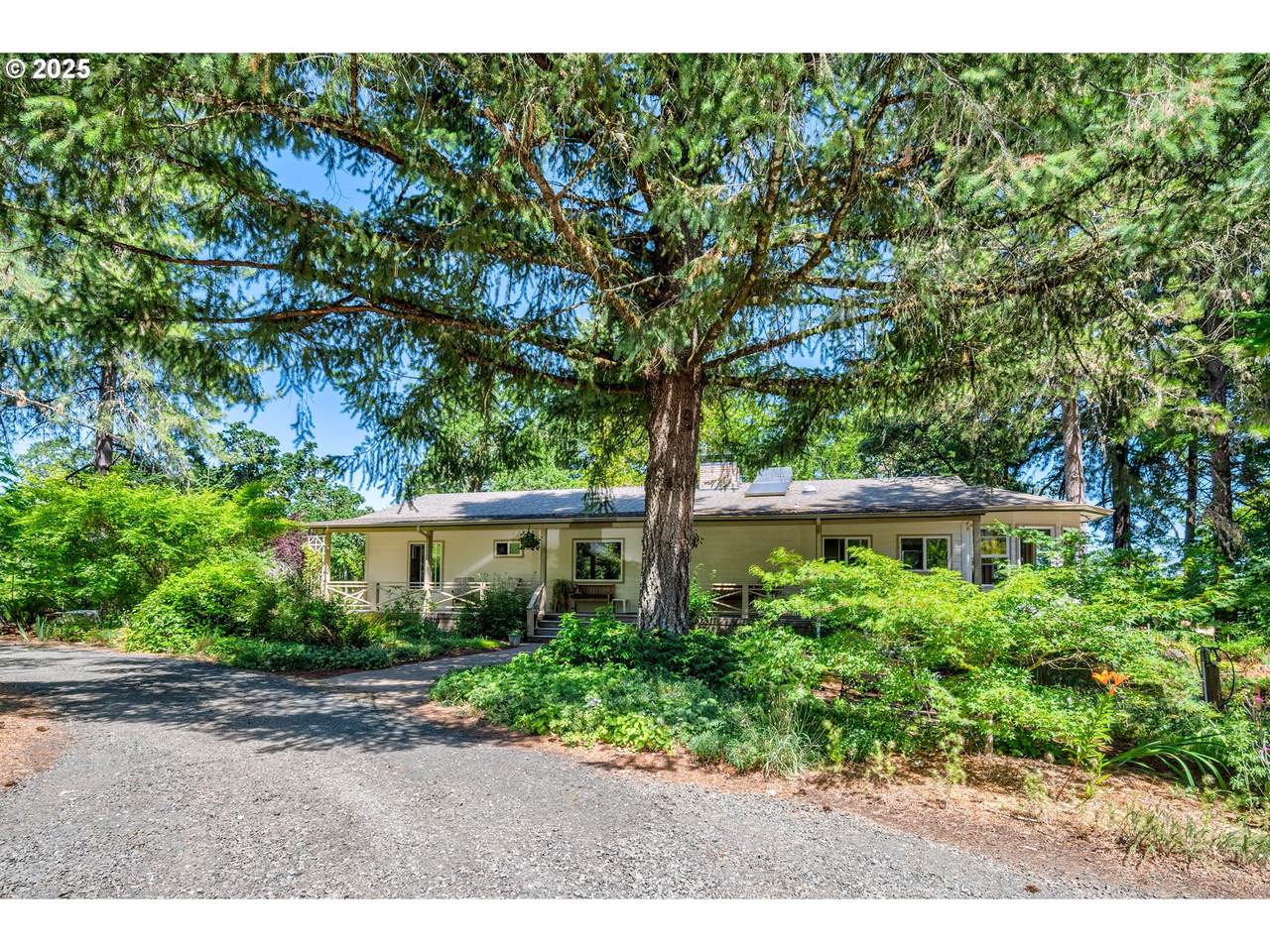 1628 Clay St - Photo 1