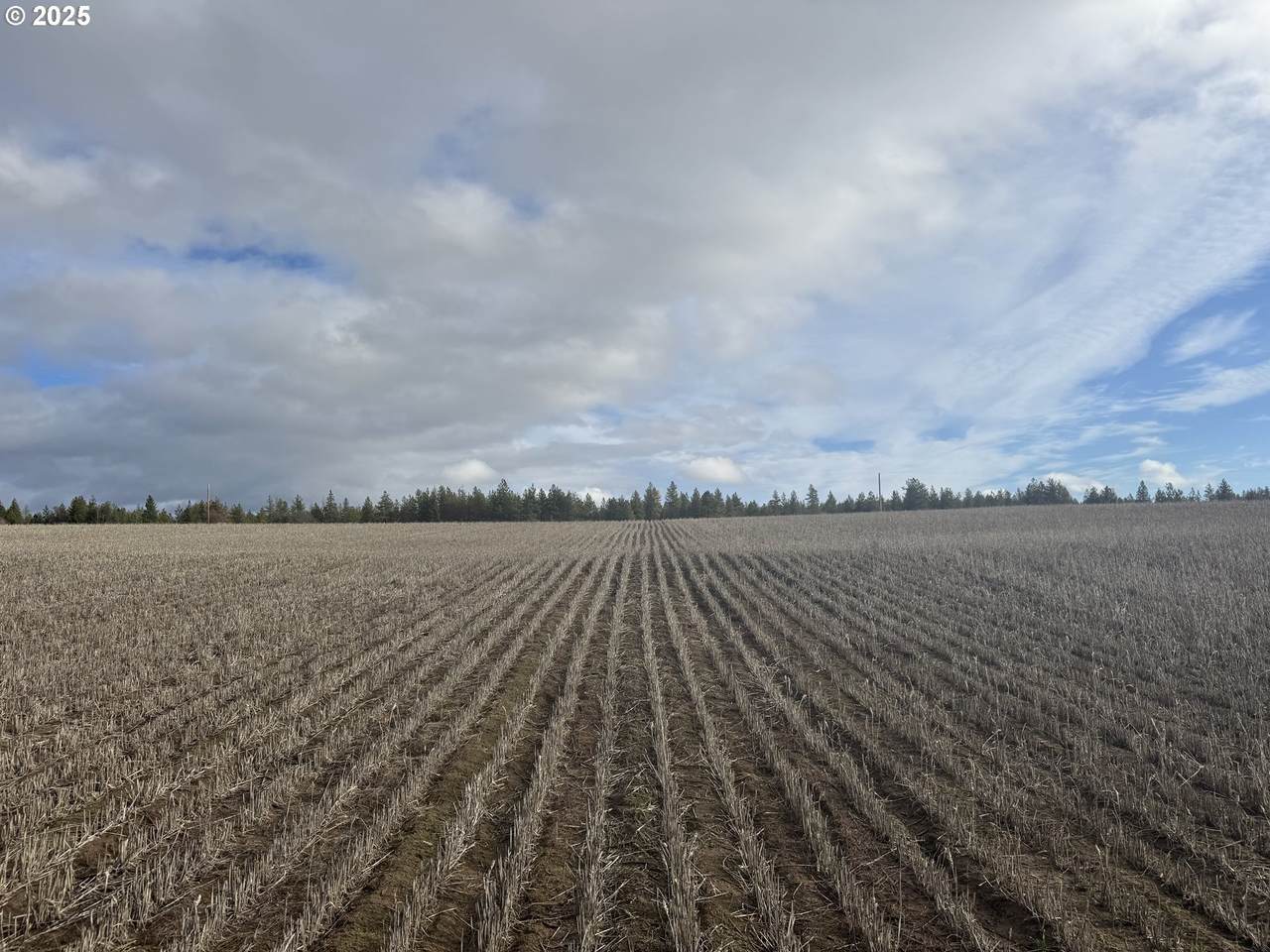 https://bt-photos.global.ssl.fastly.net/portland/1280_boomver_1_274049711-2.jpg