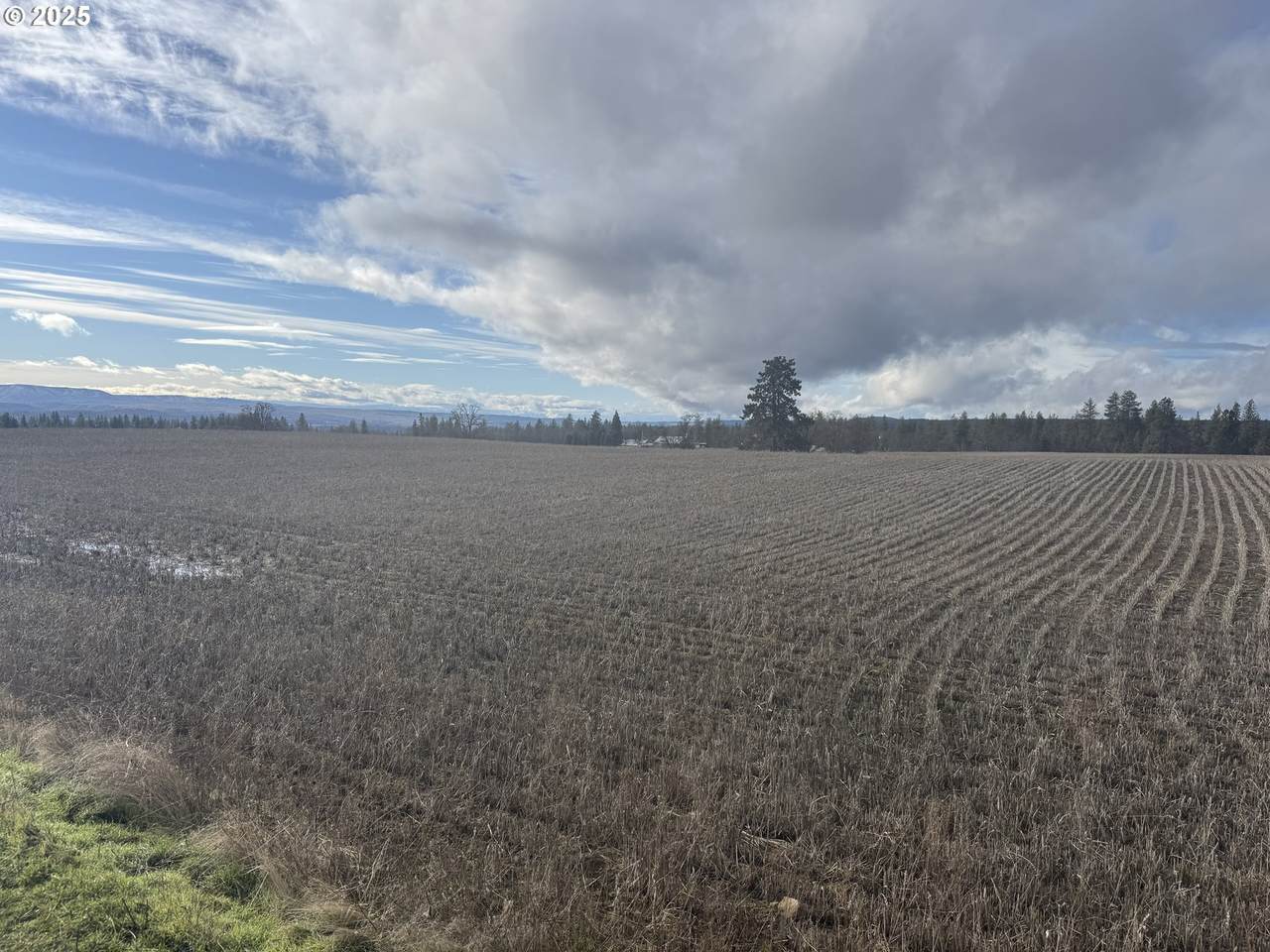 https://bt-photos.global.ssl.fastly.net/portland/1280_boomver_1_274049711-2.jpg