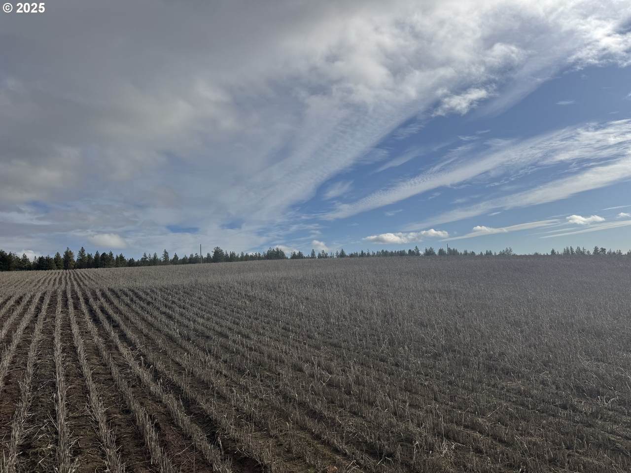 https://bt-photos.global.ssl.fastly.net/portland/1280_boomver_1_274049711-2.jpg