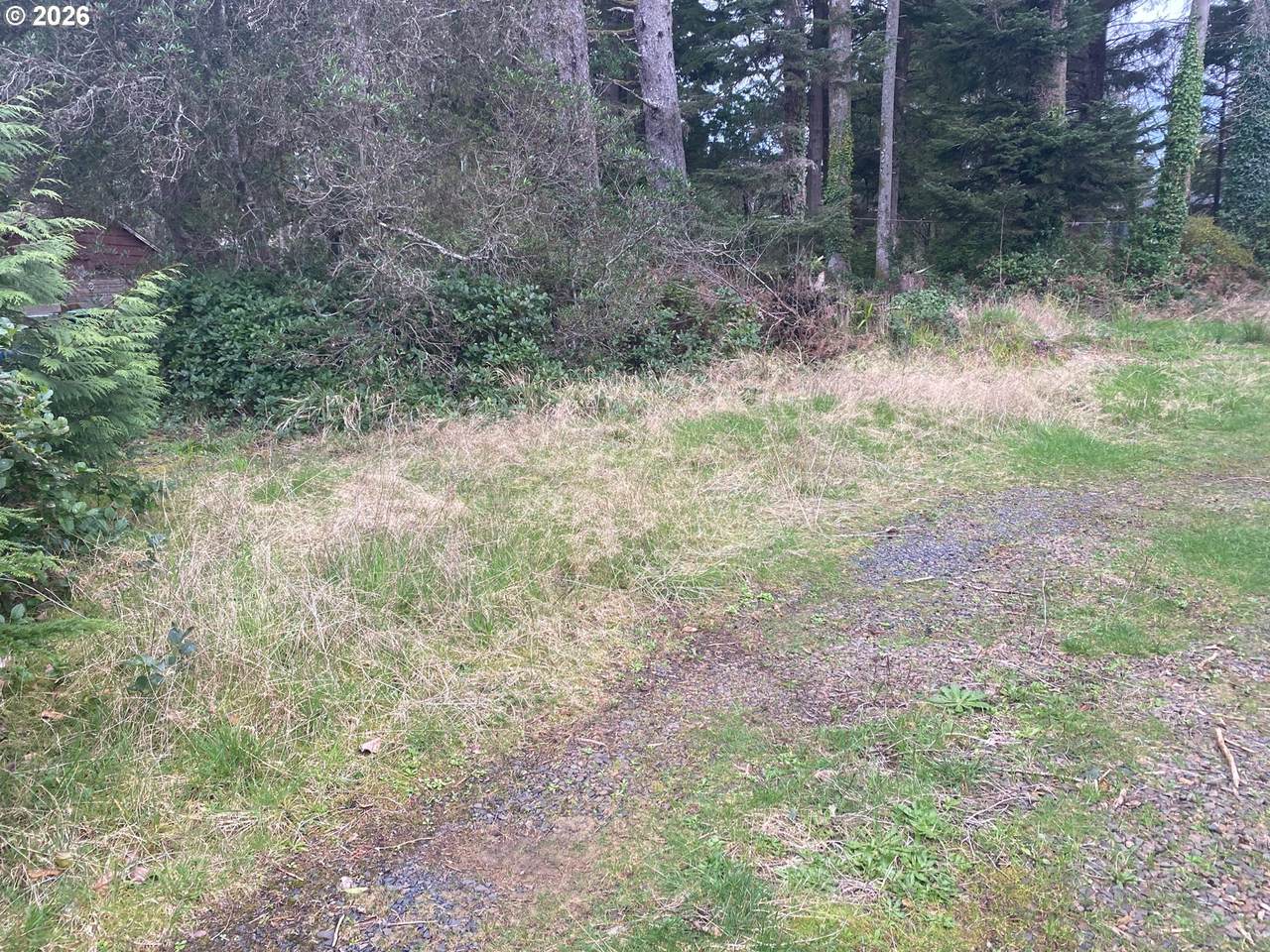 2300 Rhododendron Ave - Photo 1