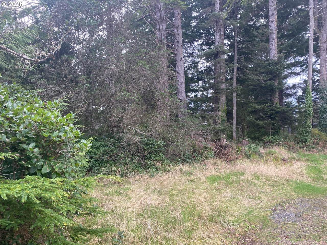 https://bt-photos.global.ssl.fastly.net/portland/1280_boomver_1_276004858-2.jpg