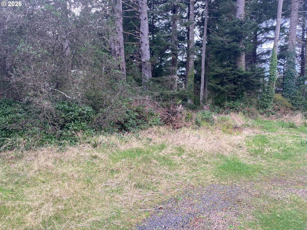 https://bt-photos.global.ssl.fastly.net/portland/1280_boomver_1_276004858-2.jpg