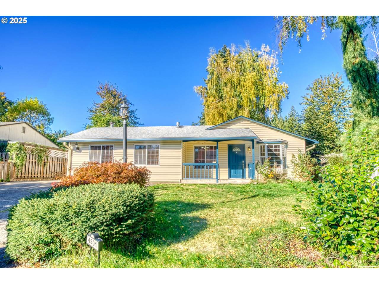 4501 Chelsea St - Photo 1