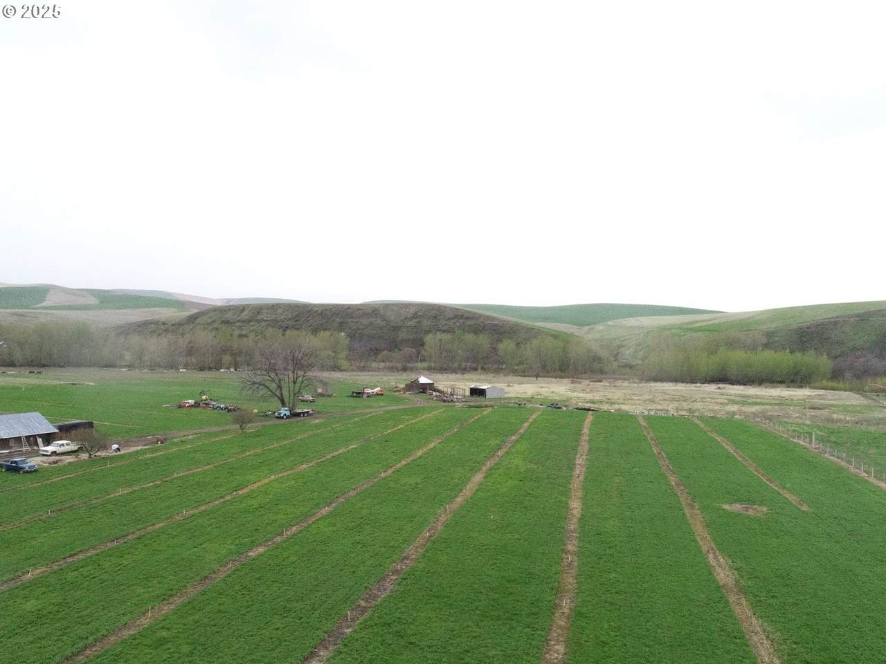 54884 Day Rd - Photo 1