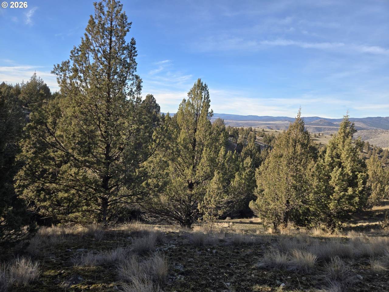 https://bt-photos.global.ssl.fastly.net/portland/1280_boomver_1_286873859-2.jpg