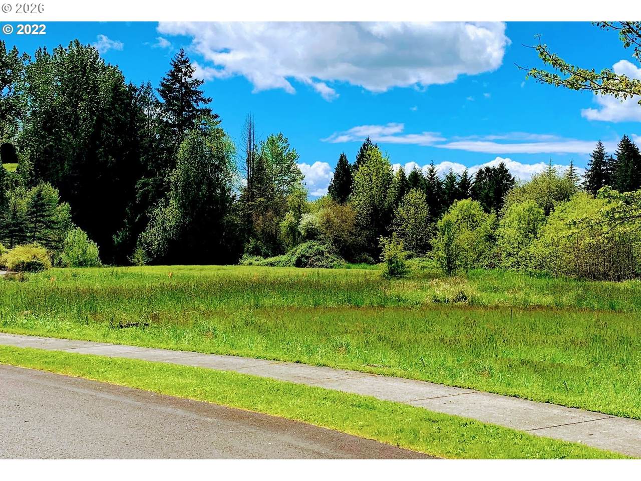 18004 113TH Ave - Photo 1