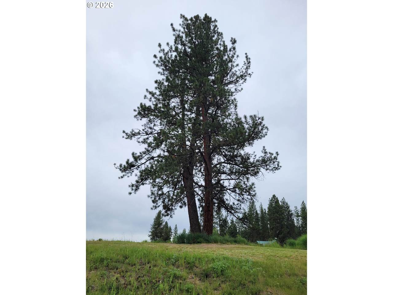 0 Coombs Loop - Photo 1