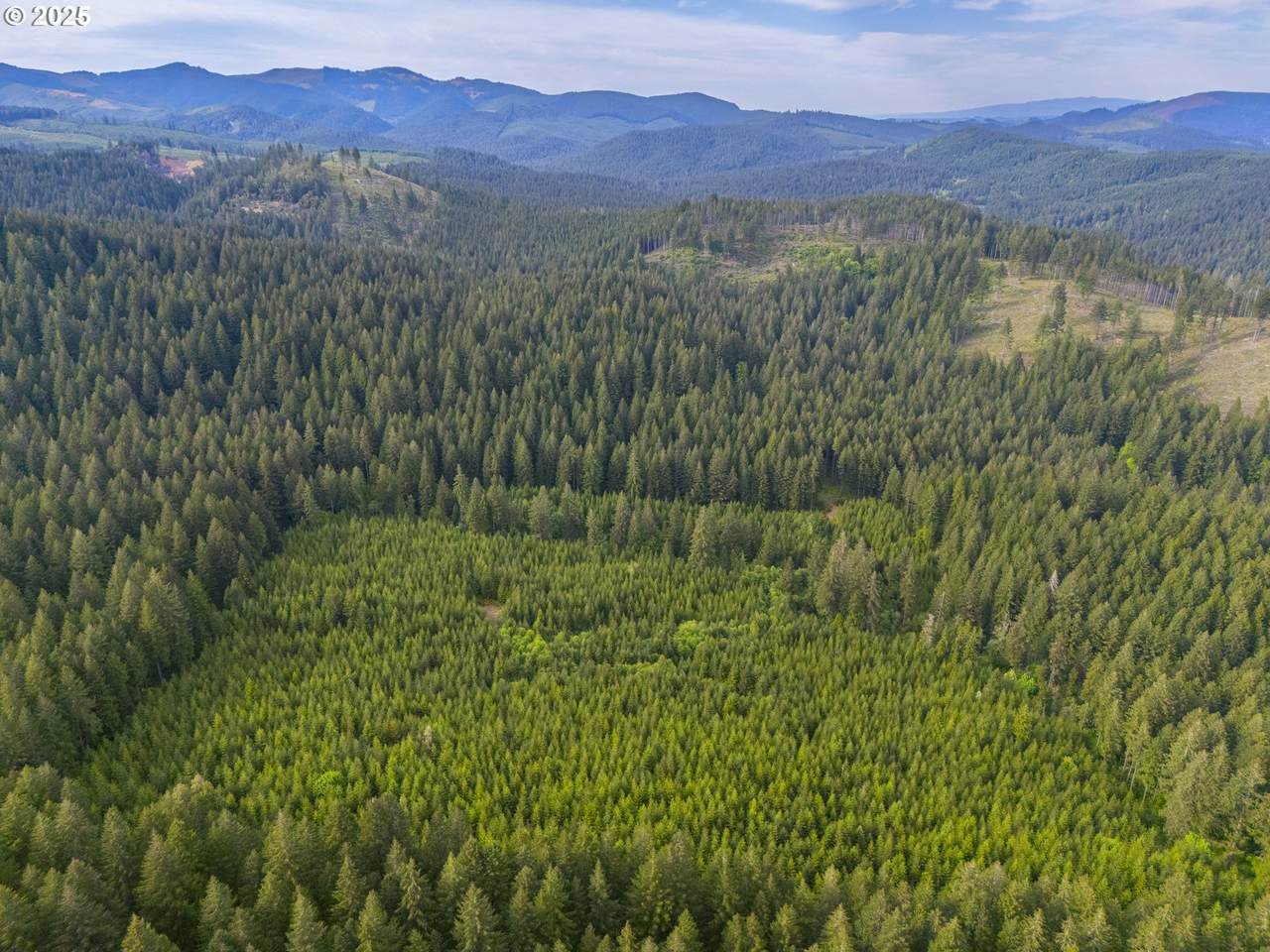 0 Shotgun Creek Rd - Photo 1