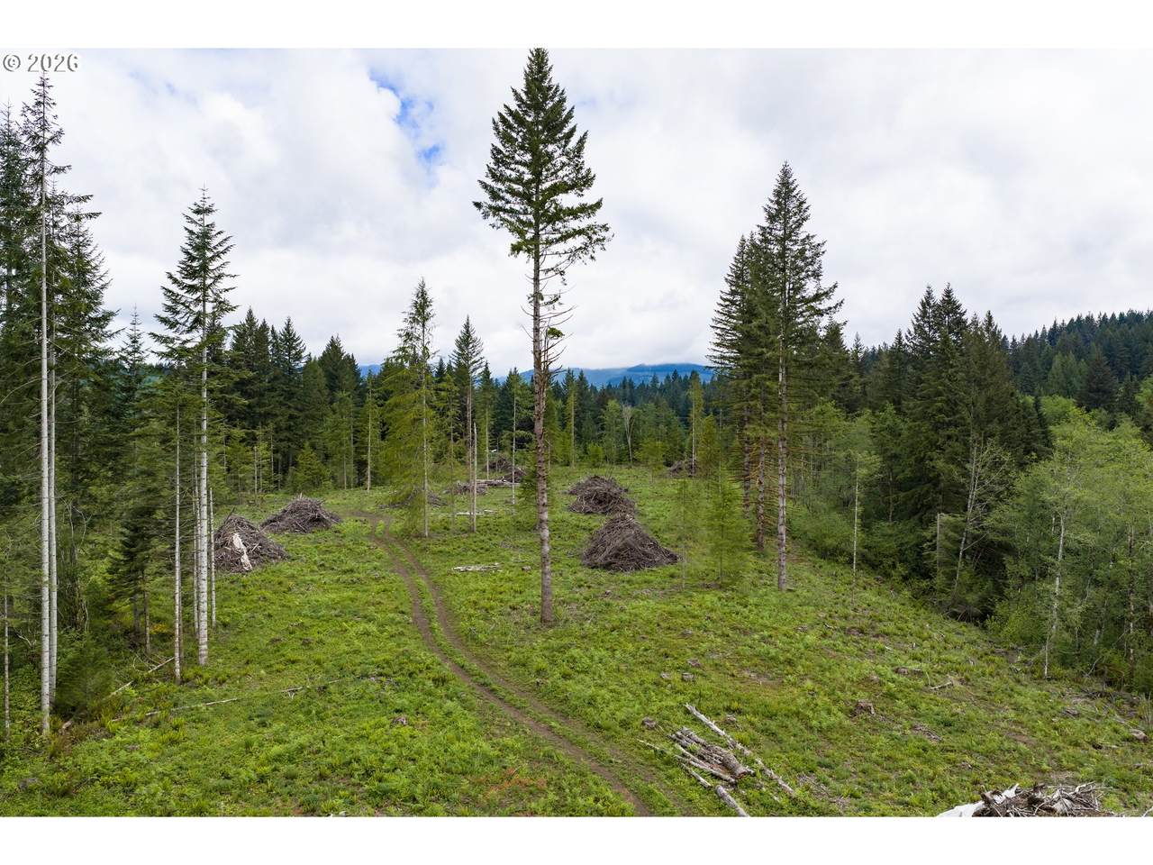 N Fork Road - Photo 1