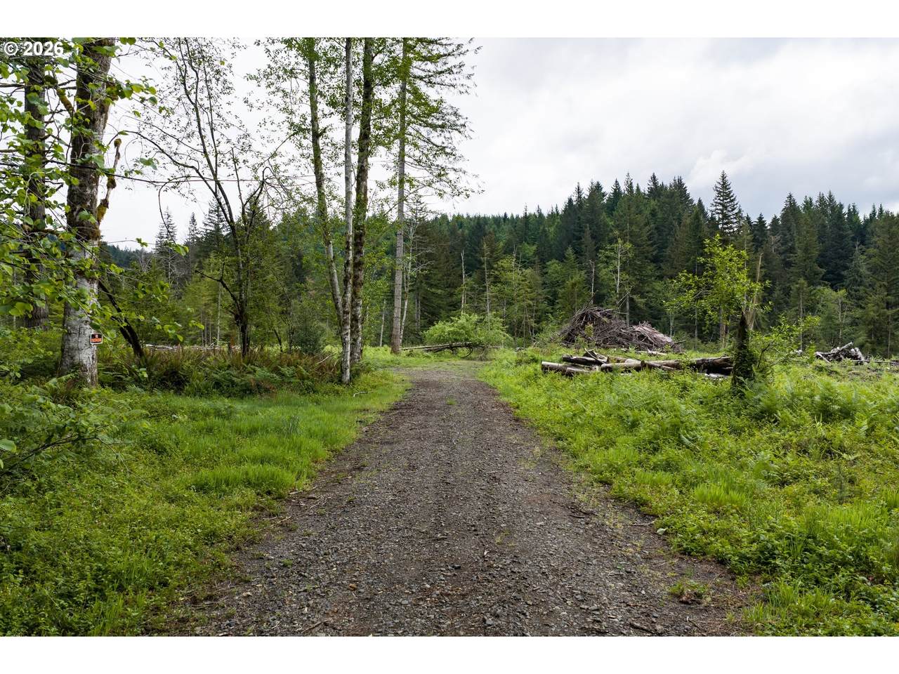https://bt-photos.global.ssl.fastly.net/portland/1280_boomver_1_291792406-2.jpg
