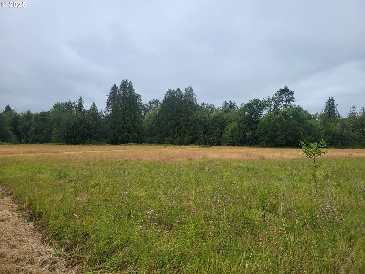 https://bt-photos.global.ssl.fastly.net/portland/1280_boomver_1_294054763-2.jpg