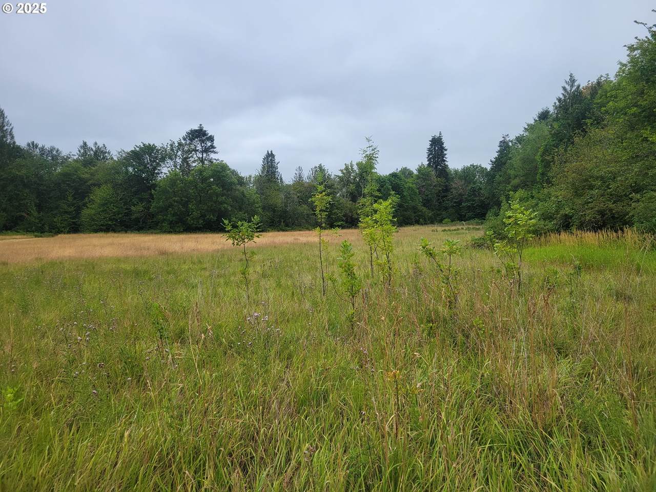 https://bt-photos.global.ssl.fastly.net/portland/1280_boomver_1_294054763-2.jpg