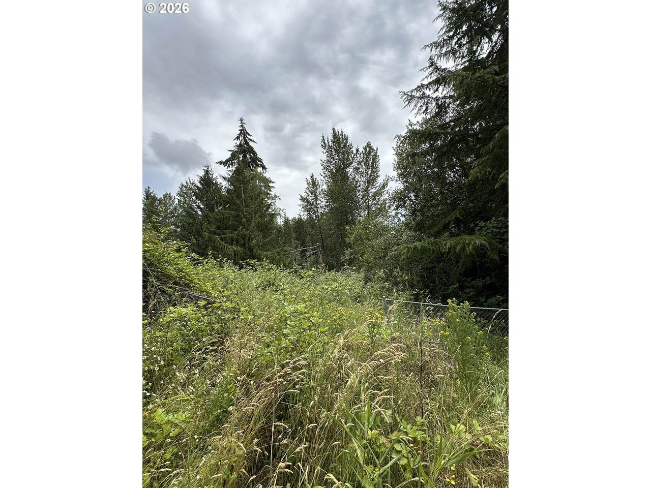 https://bt-photos.global.ssl.fastly.net/portland/1280_boomver_1_295751283-2.jpg