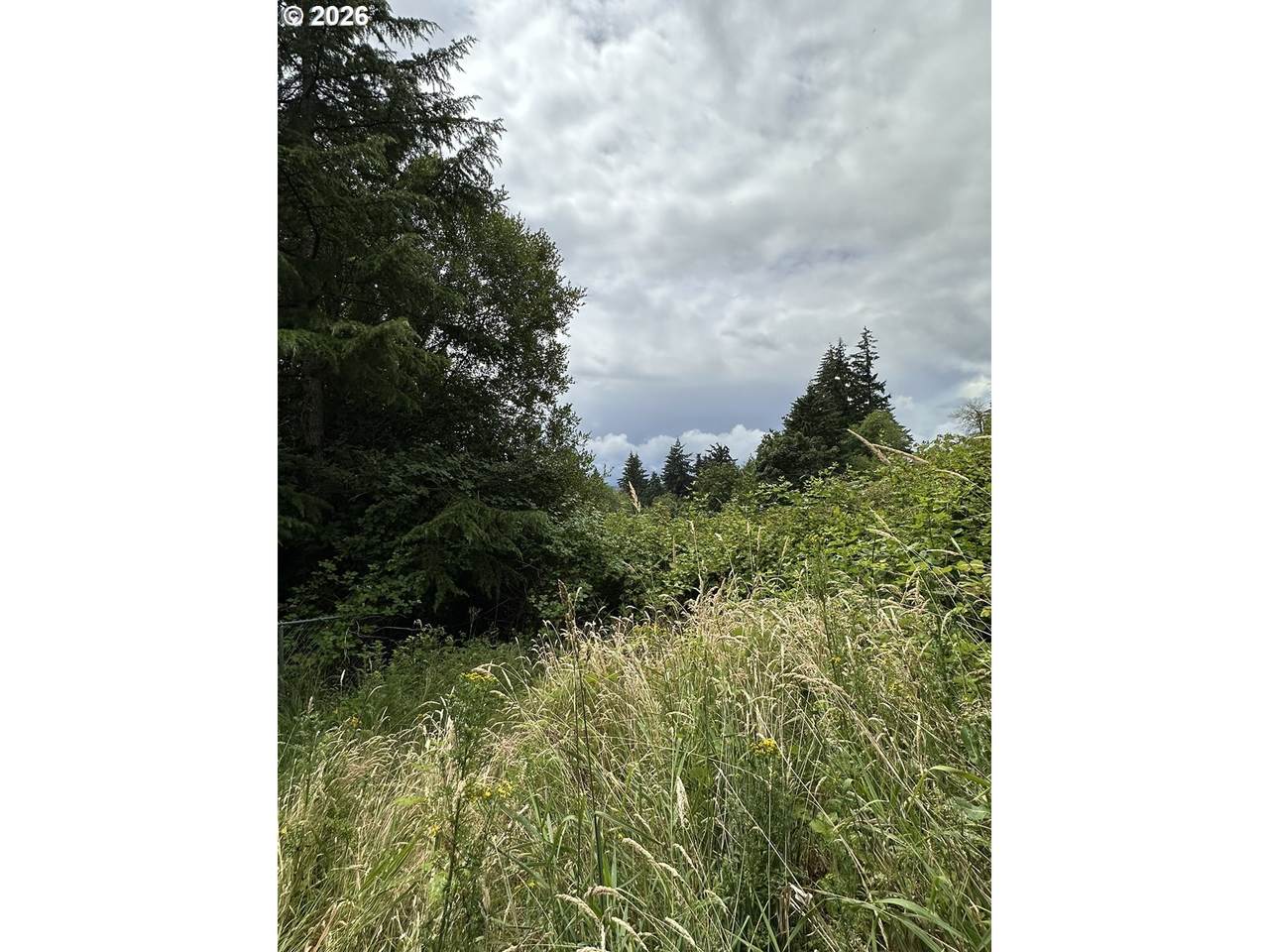 https://bt-photos.global.ssl.fastly.net/portland/1280_boomver_1_295751283-2.jpg
