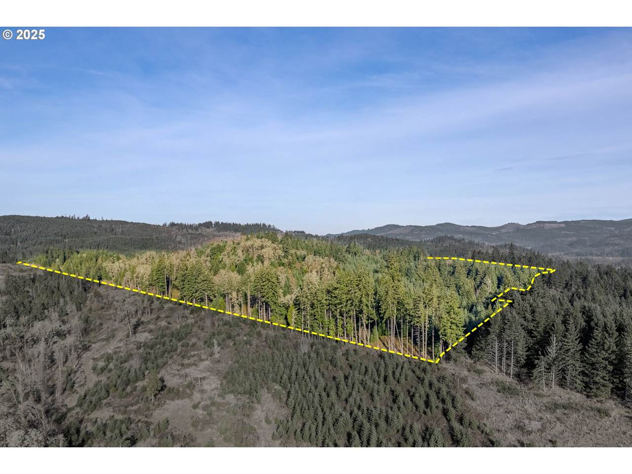 https://bt-photos.global.ssl.fastly.net/portland/1280_boomver_1_297875031-2.jpg