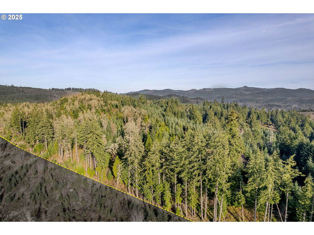 https://bt-photos.global.ssl.fastly.net/portland/1280_boomver_1_297875031-2.jpg