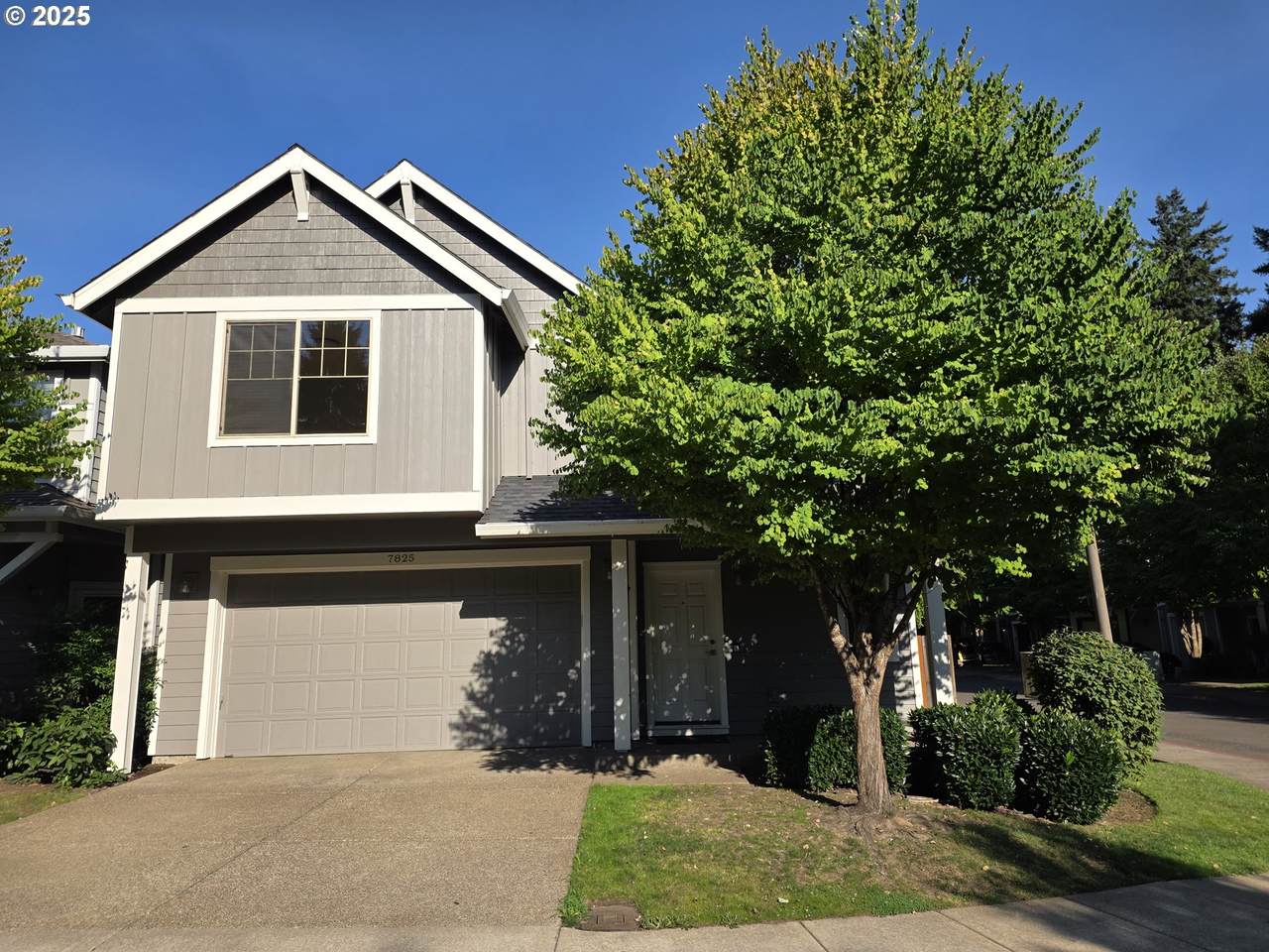 7825 Sporri Ln - Photo 1