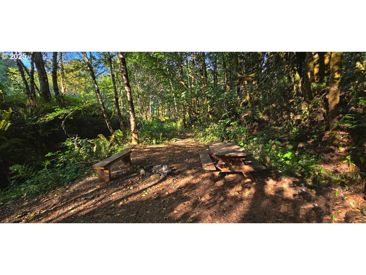 https://bt-photos.global.ssl.fastly.net/portland/orig_boomver_1_307294355-2.jpg