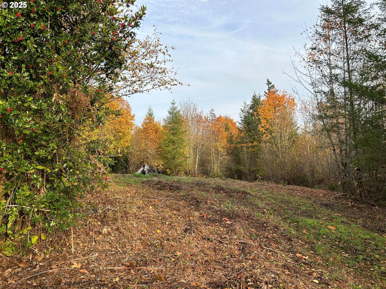  Fargher Dr - Photo 1