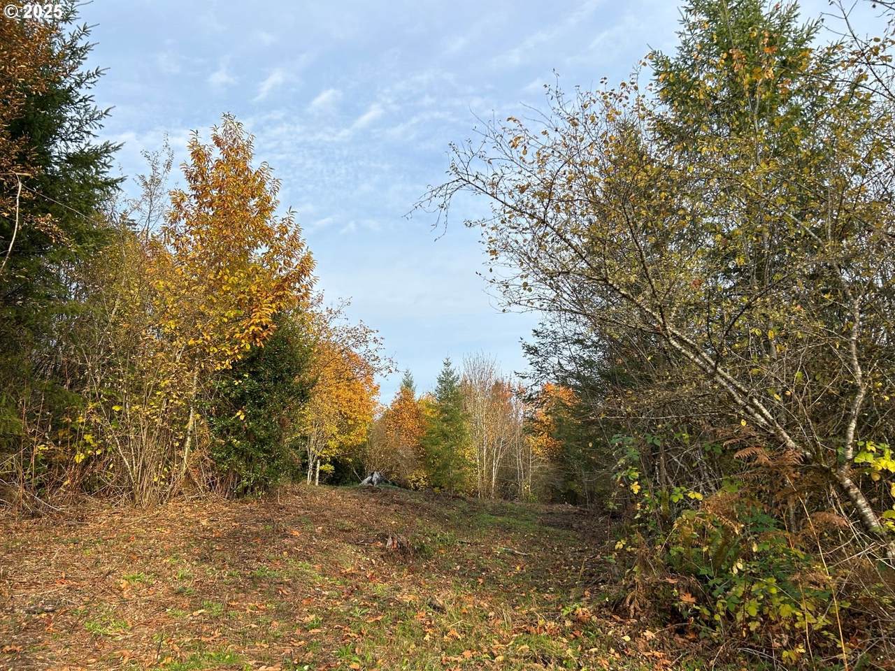https://bt-photos.global.ssl.fastly.net/portland/1280_boomver_1_308189903-2.jpg