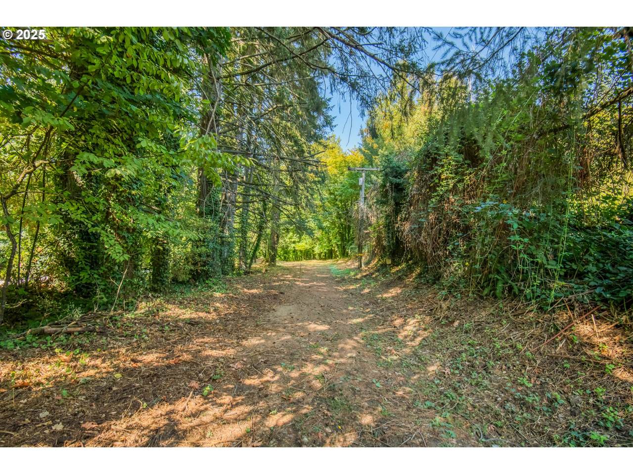 0 Palmer Ln - Photo 1