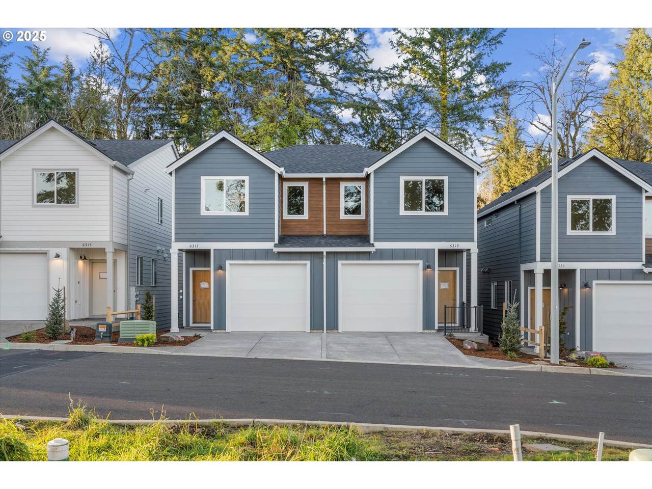 6317 Chloe Rose Way - Photo 1