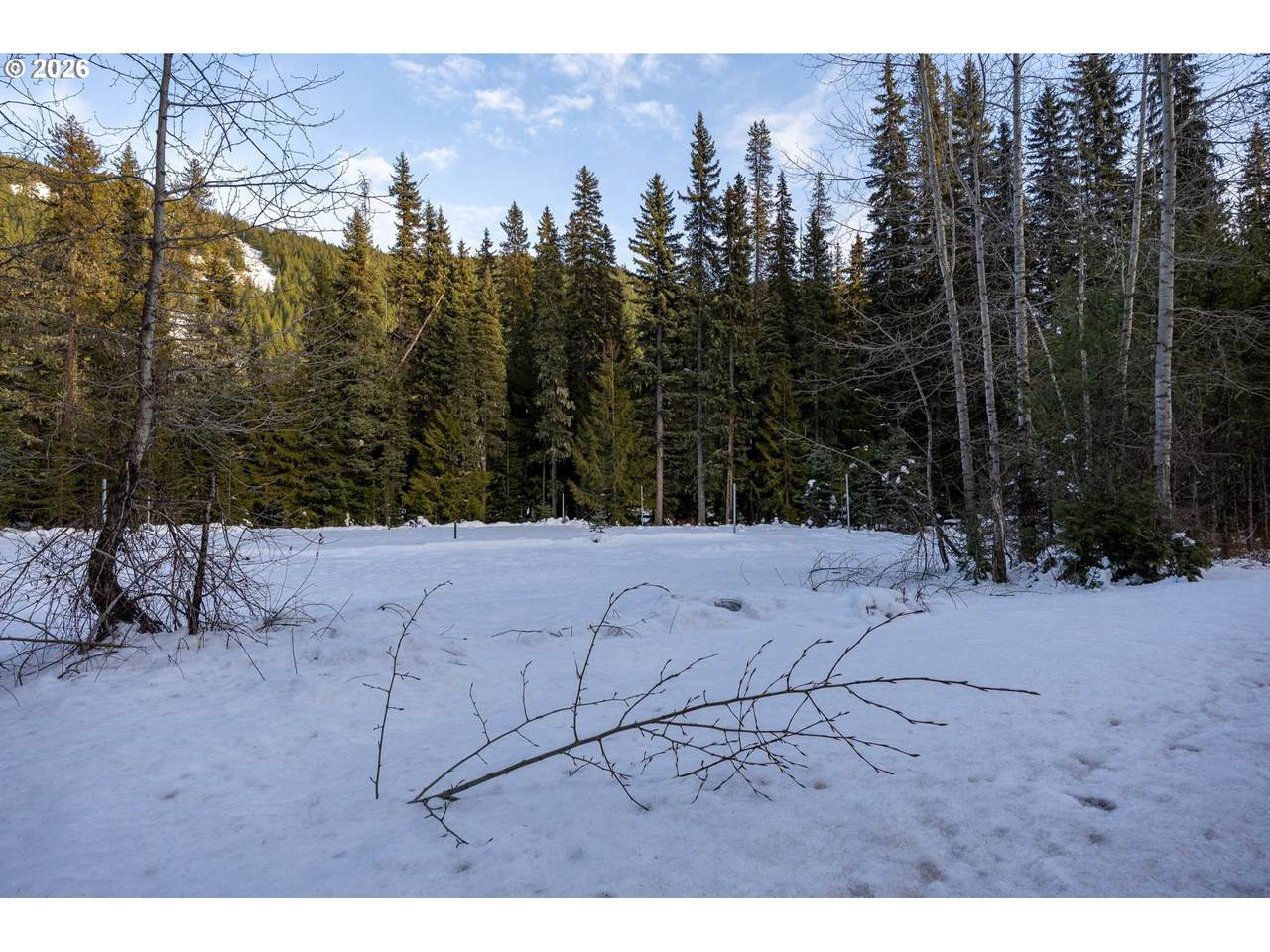 93732 Highway 26 - Photo 1