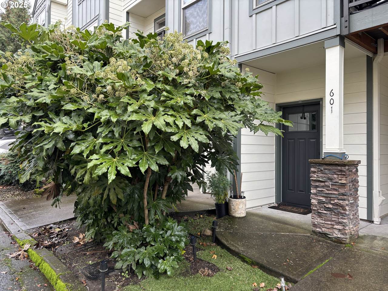 https://bt-photos.global.ssl.fastly.net/portland/1280_boomver_2_313735190-2.jpg
