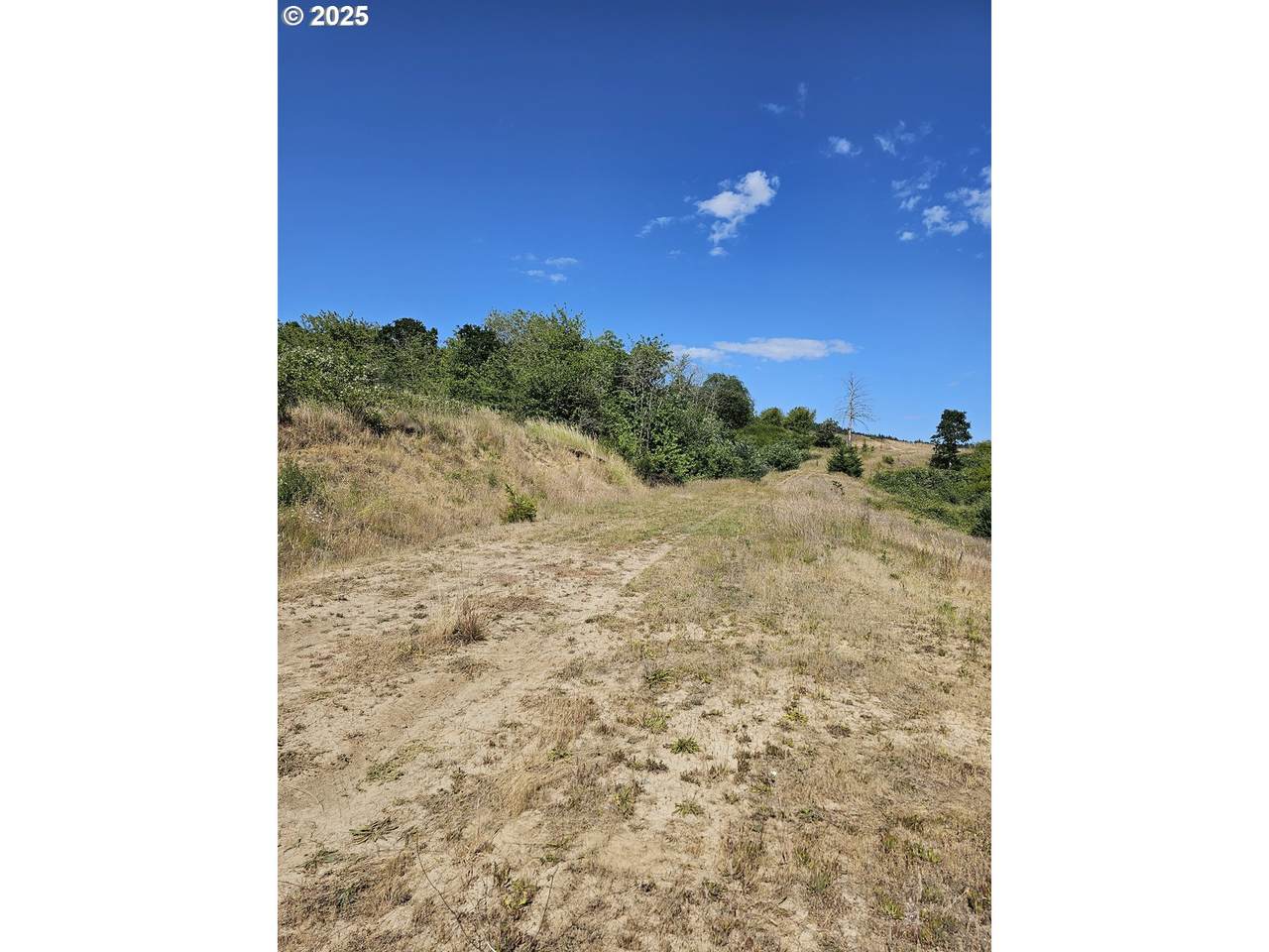 Hardebeck Rd - Photo 1