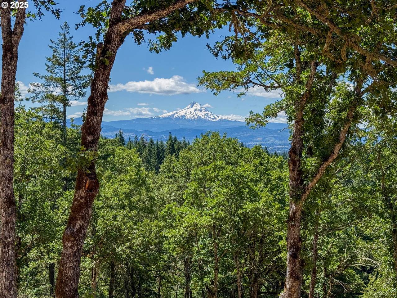 34 Jewett Creek Loop Rd - Photo 1