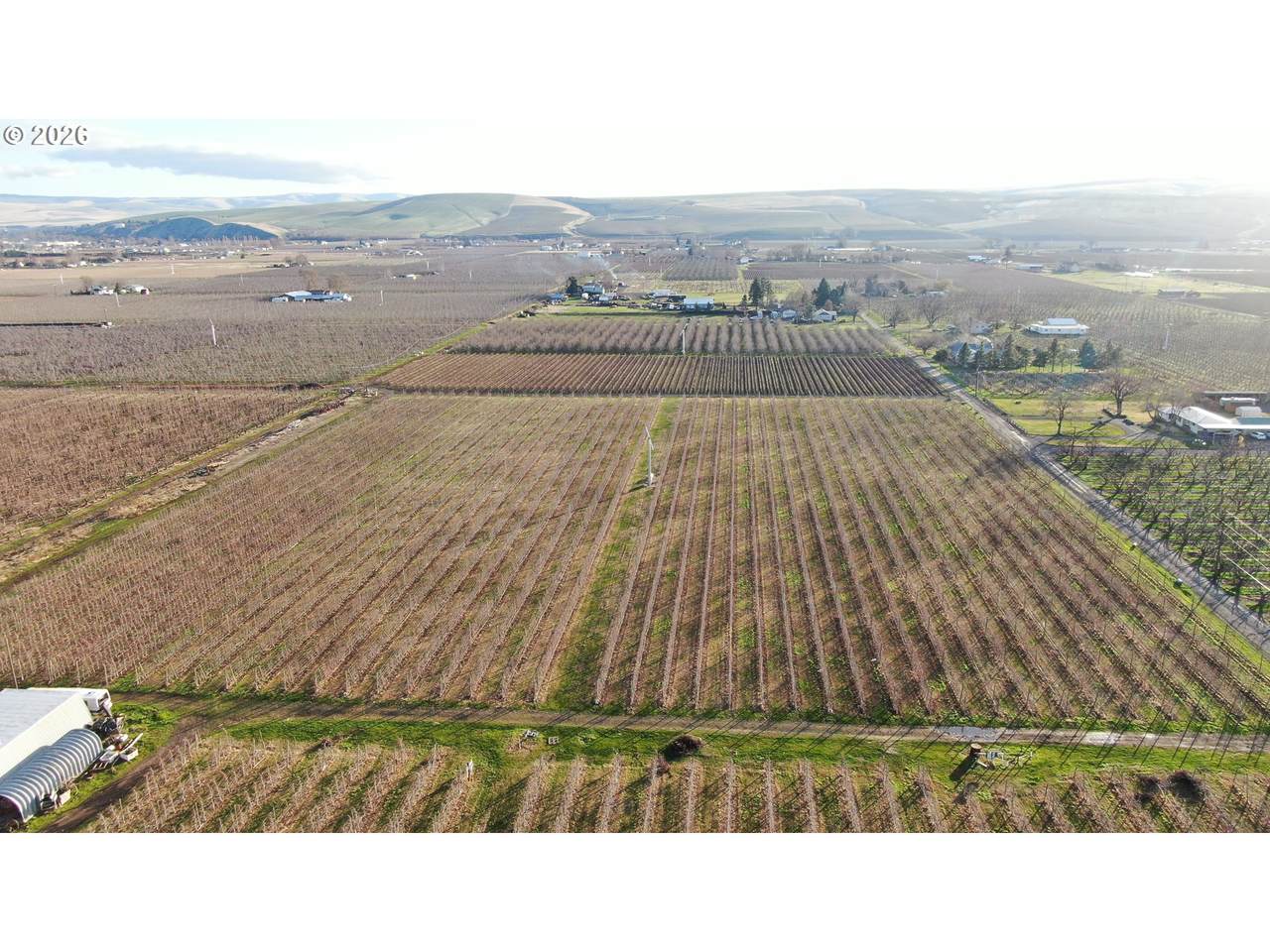 000 Yellowjacket Rd - Photo 1